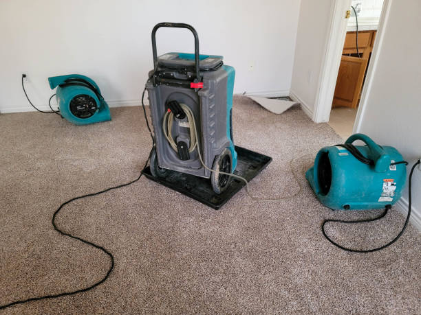 Best Ceiling water damage repair  in Gastonia, NC