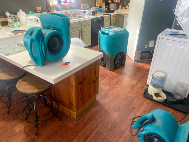 Best Water damage restoration specialists  in Gastonia, NC