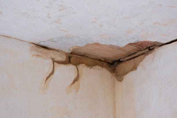 Best Commercial water damage restoration  in Gastonia, NC
