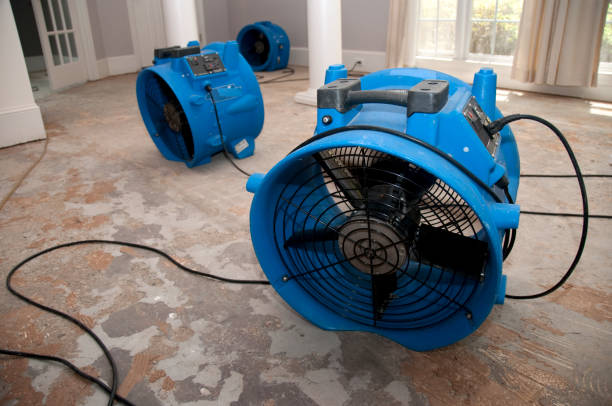 Best Flood restoration services  in Gastonia, NC