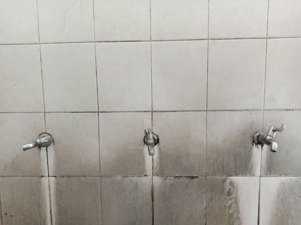 Best Professional water damage repair  in Gastonia, NC