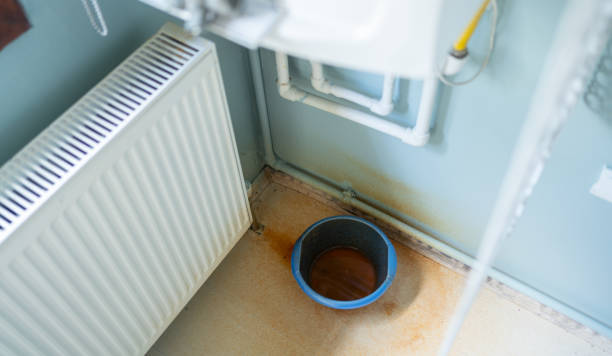 Best Flood damage cleanup  in Gastonia, NC