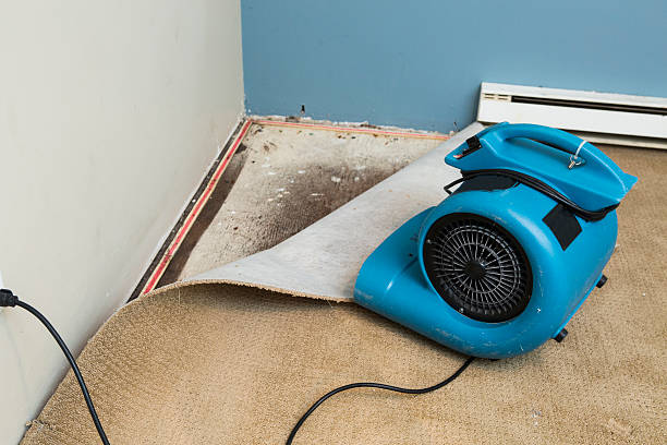 Best 24/7 water damage repair  in Gastonia, NC
